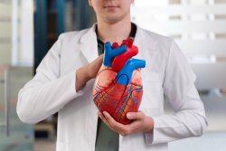 Heart Palpitations: What They Are and the Possible Causes